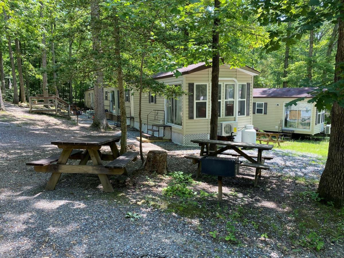 The Vintage Rv'S At Wilderness Presidential Camp Resort By Tripforth Spotsylvania Exterior photo